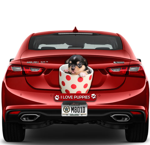 Image of Puppy in a Cup
