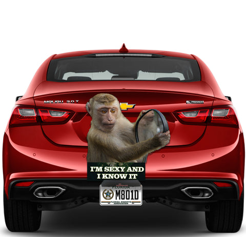 Image of Monkey "I'm sexy and I know it"