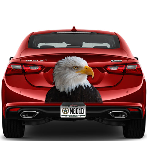 Image of Eagle