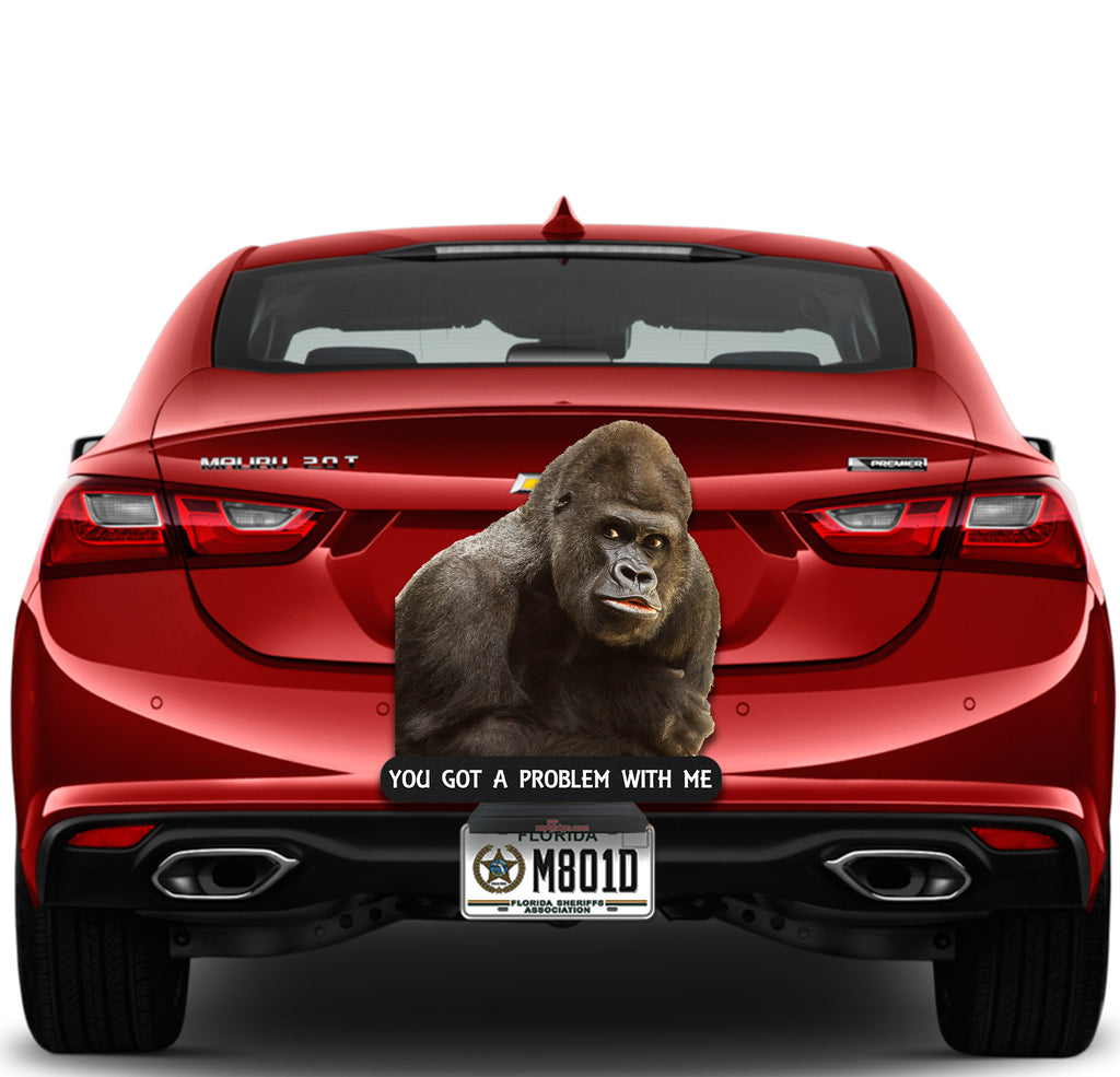 Mean Old Gorilla You Got a Problem