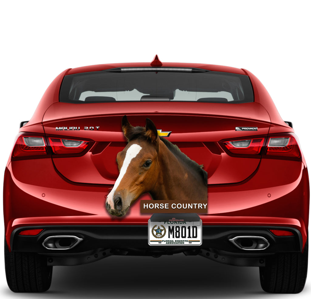 Horse Country
