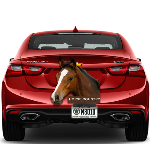 Image of Horse Country