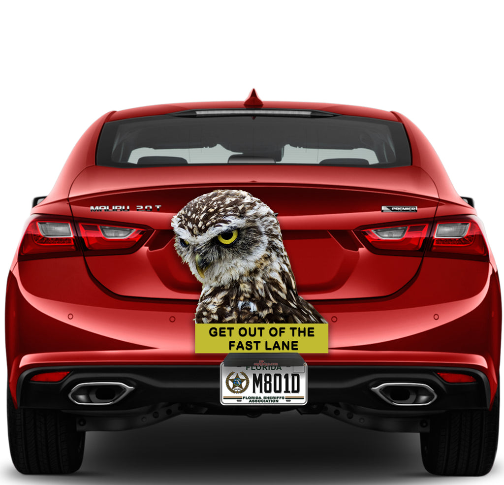 Owl "Stay out of the fast lane"