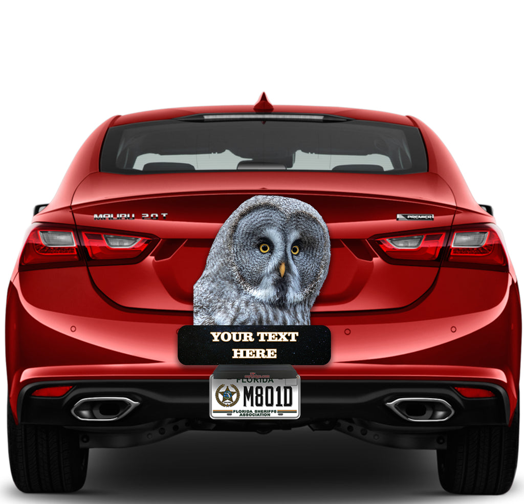Owl "Give a Hoot Don't Pollute"