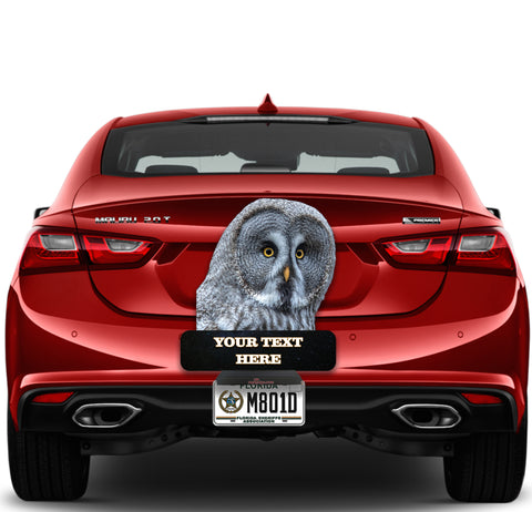 Image of Owl "Give a Hoot Don't Pollute"