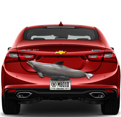 Image of Porpoise Support