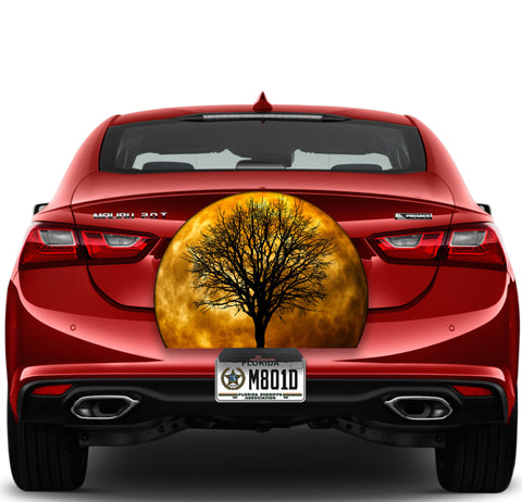 Image of Orange Moon Tree