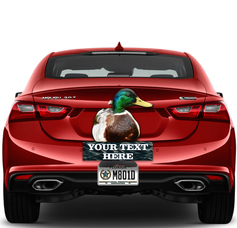 Image of What the Duck