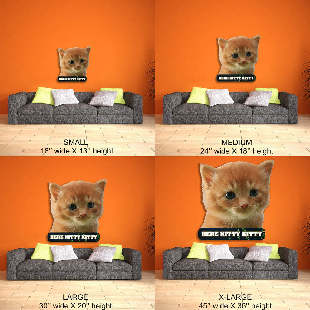Kitten Here Kitty Kitty