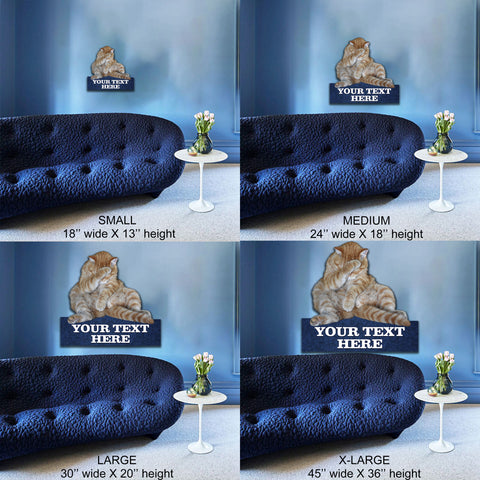 Image of Cat Hide Face