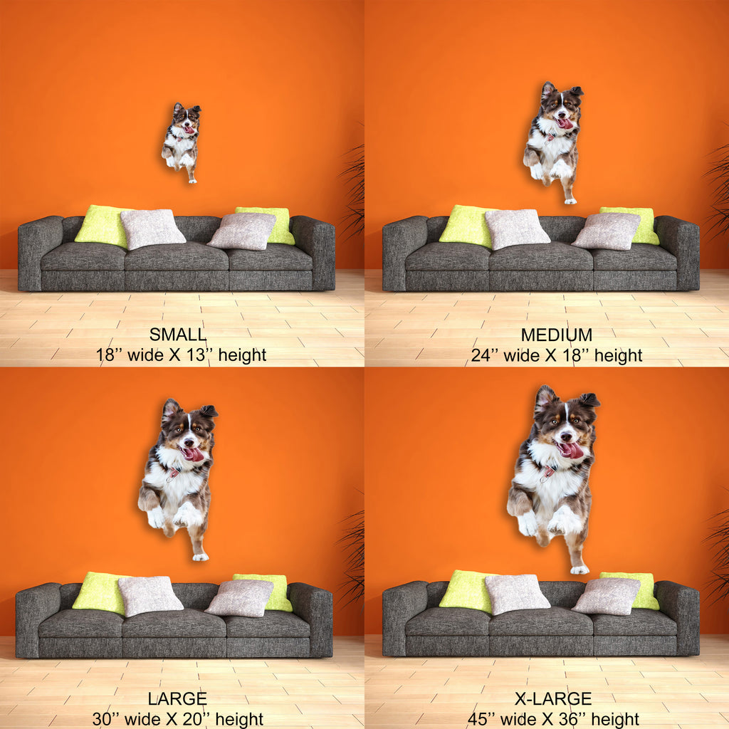 Cute Dog