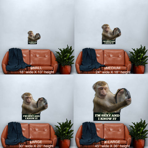 Image of Monkey "I'm sexy and I know it"