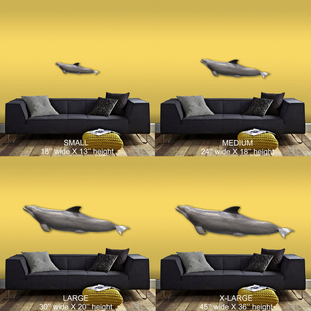 Porpoise Support