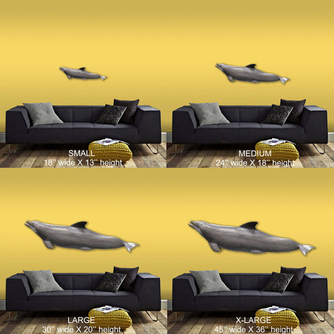 Image of Porpoise Support
