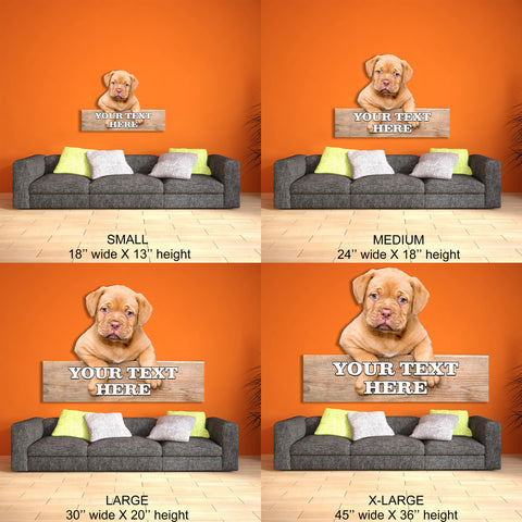 Image of Dog Let me Out