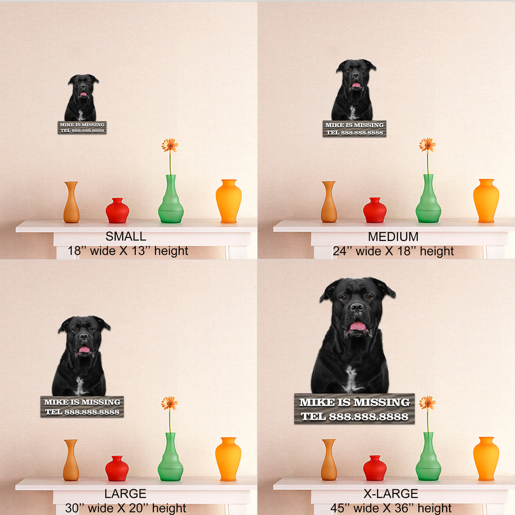 Black Dog