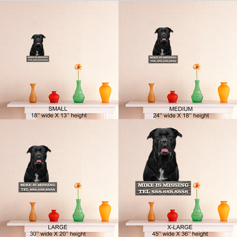 Image of Black Dog