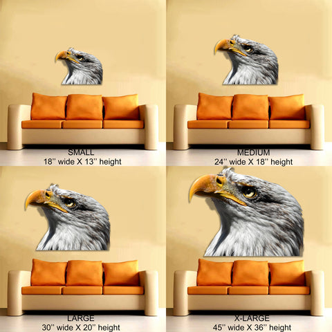 Image of Eagle Sideview