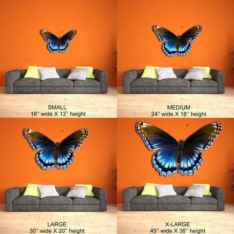 Image of Butterfly
