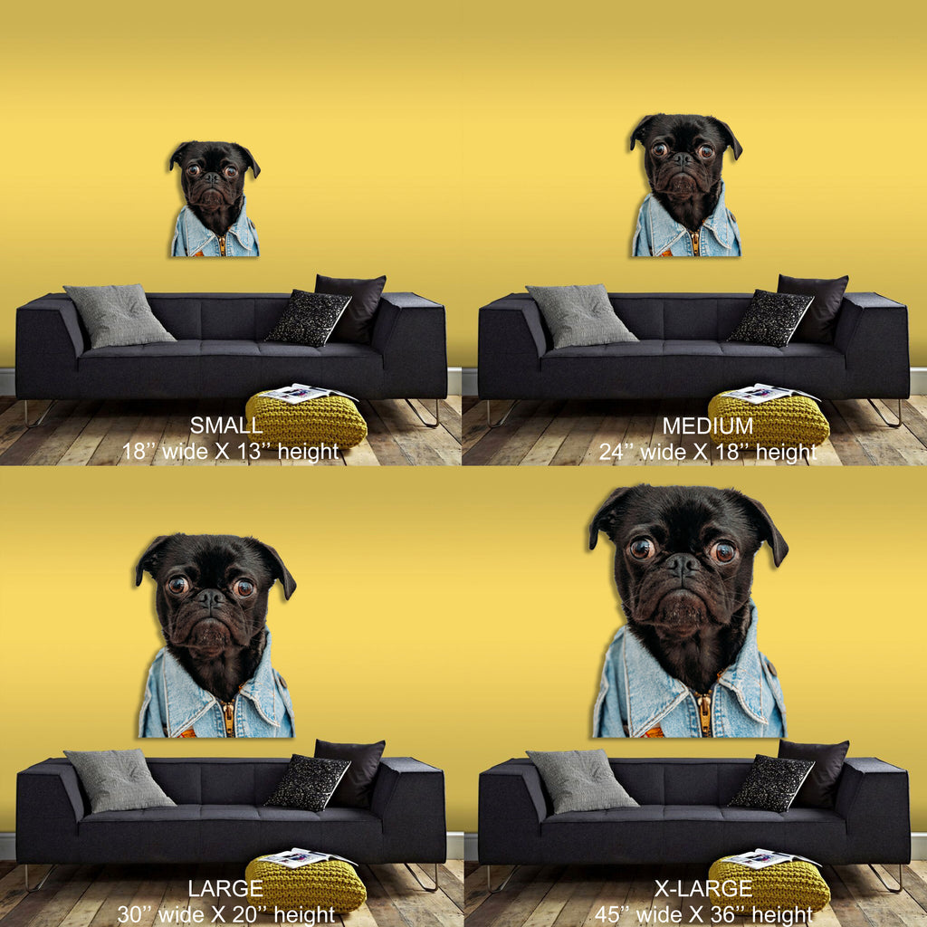 Funny Dog