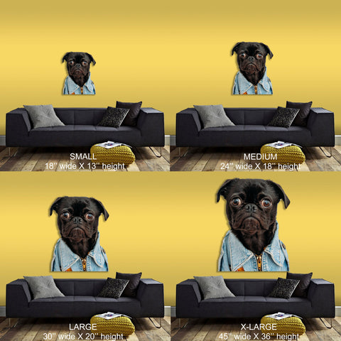 Image of Funny Dog
