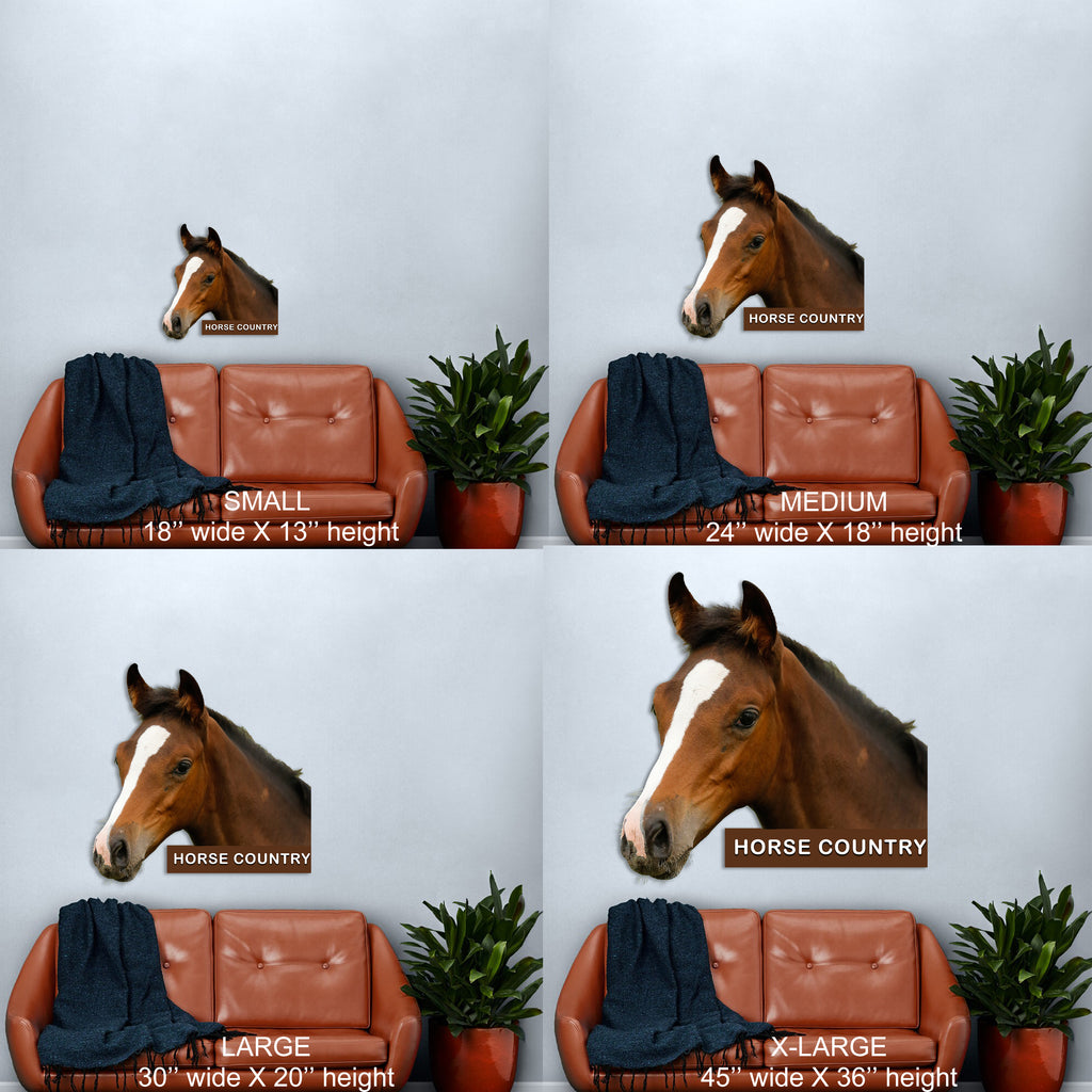 Horse Country