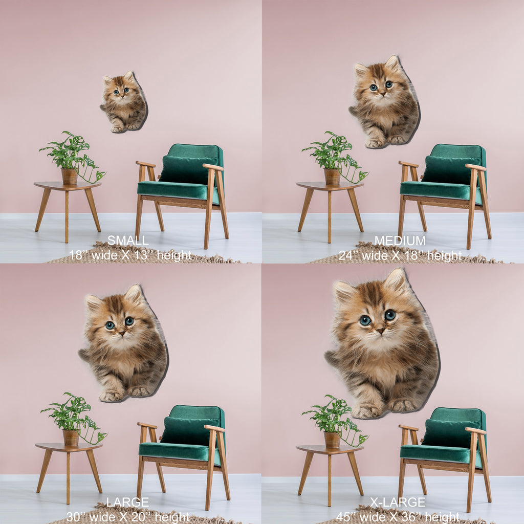Cute Cat #1