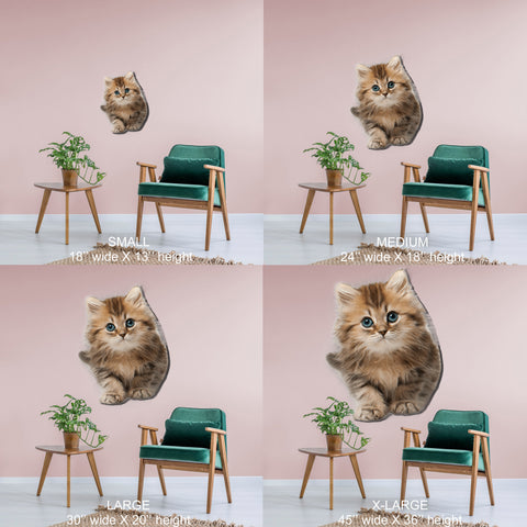 Image of Cute Cat #1