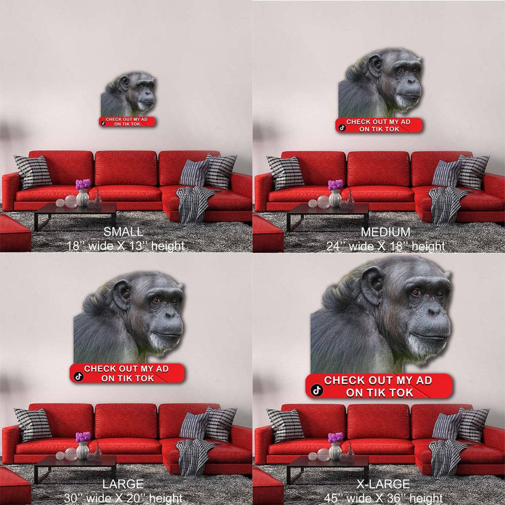 Check me out Ape