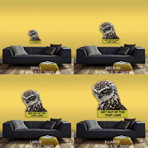 Image of Owl "Stay out of the fast lane"