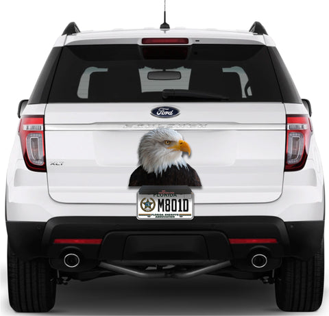 Image of Eagle