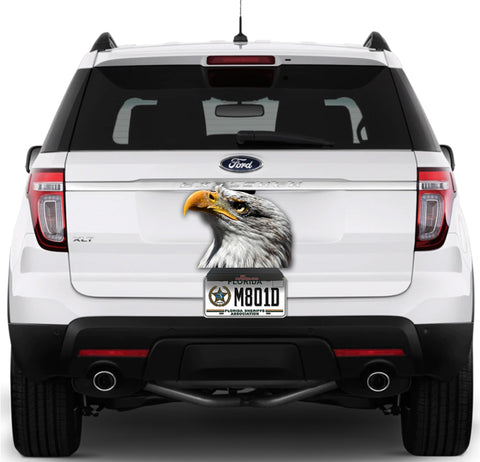 Image of Eagle Sideview