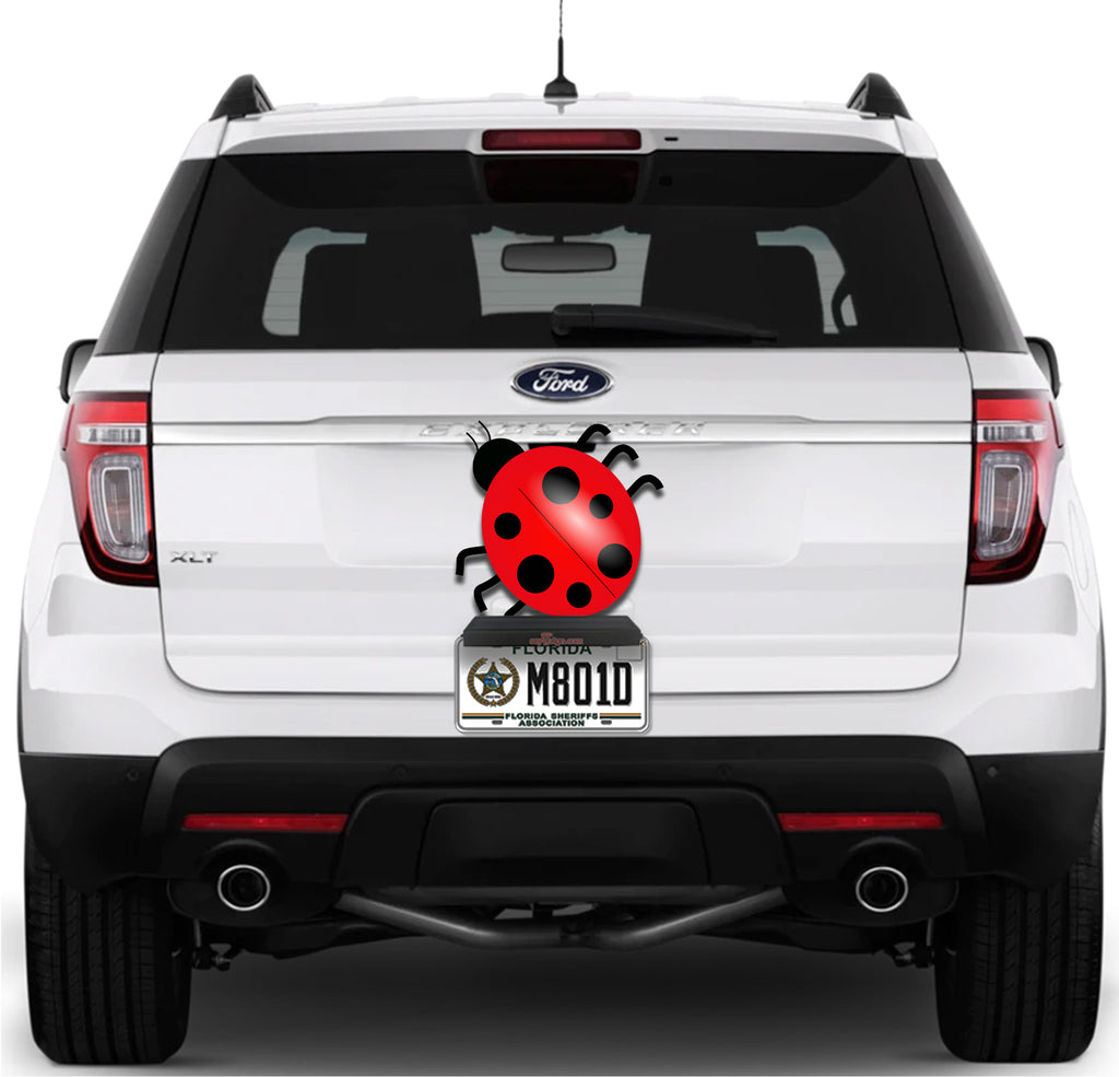 Lady Bug