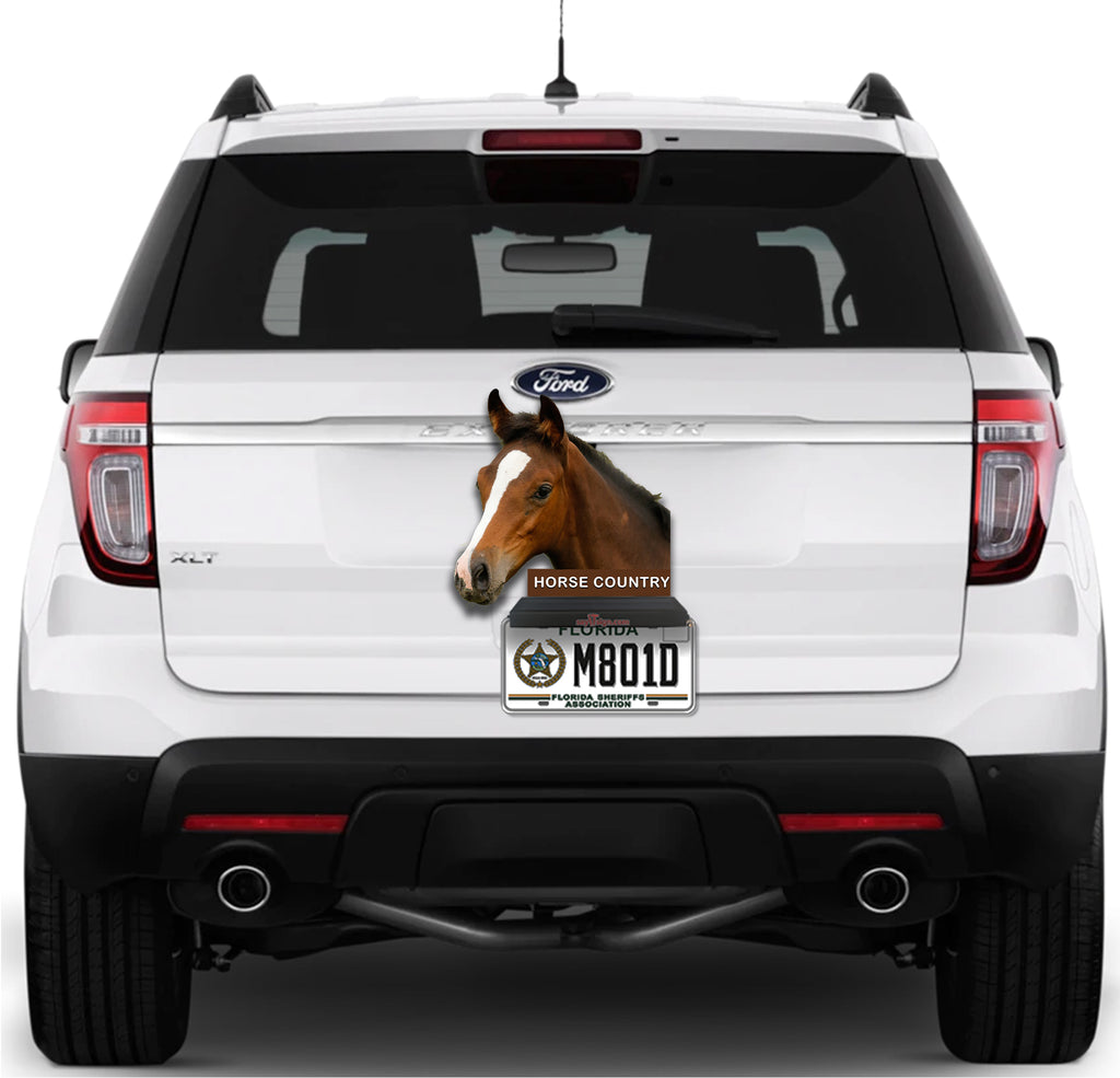 Horse Country