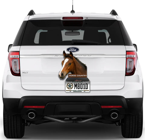 Image of Horse Country