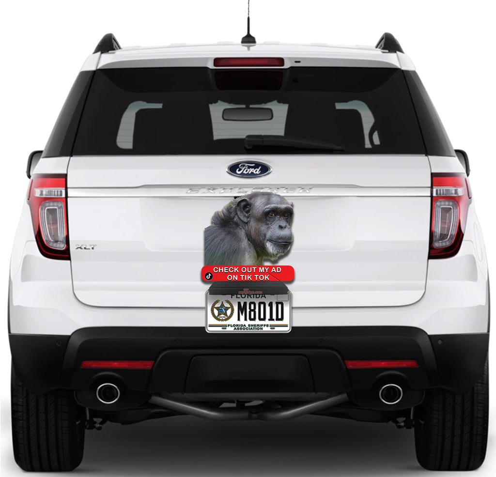 Check me out Ape