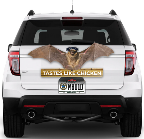Image of Bat 🦇  Taste Like Chicken