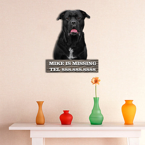 Image of Black Dog