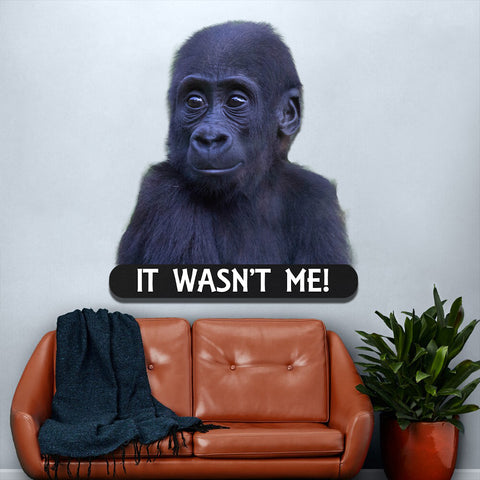 Image of Baby Gorilla It Wasn't Me