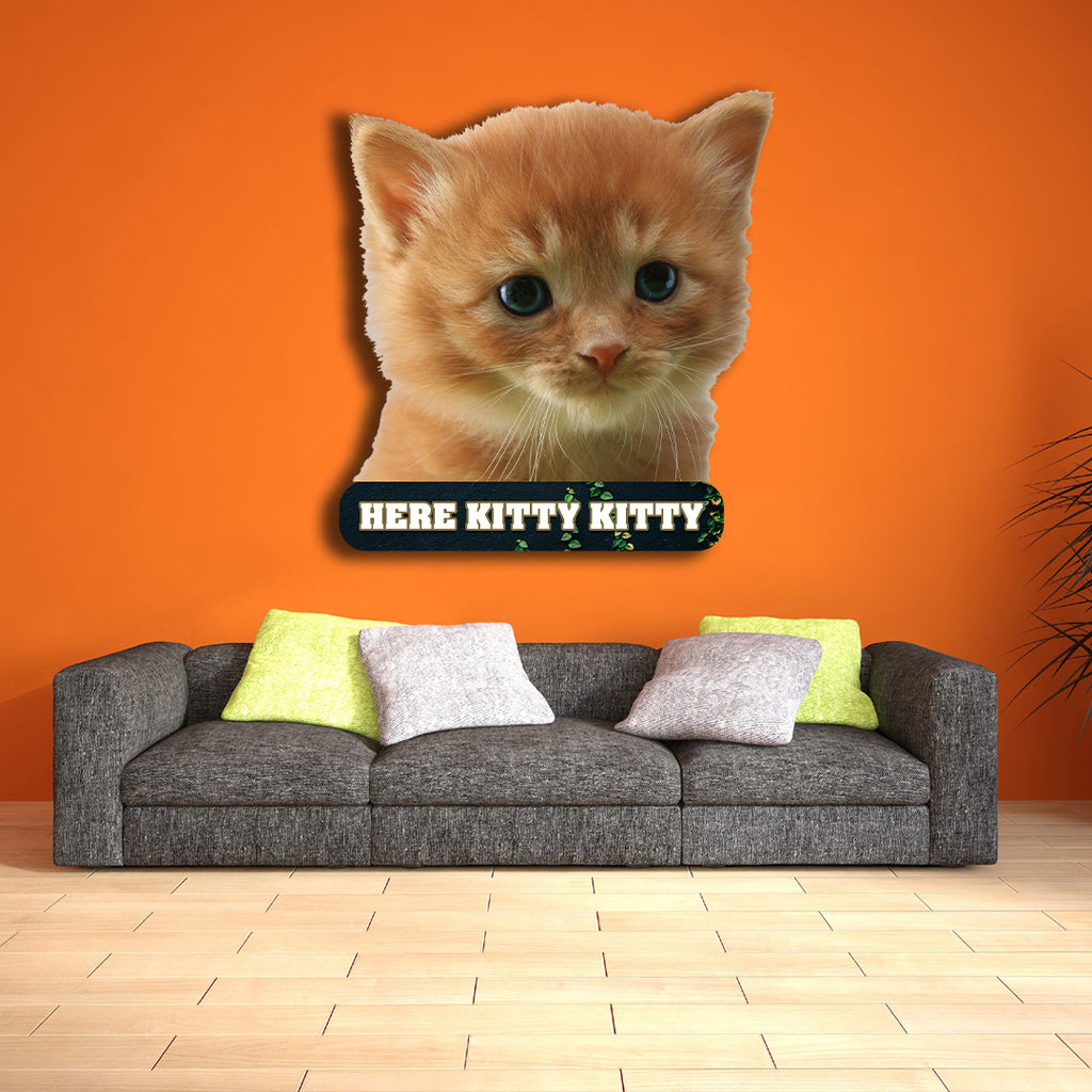 Kitten Here Kitty Kitty