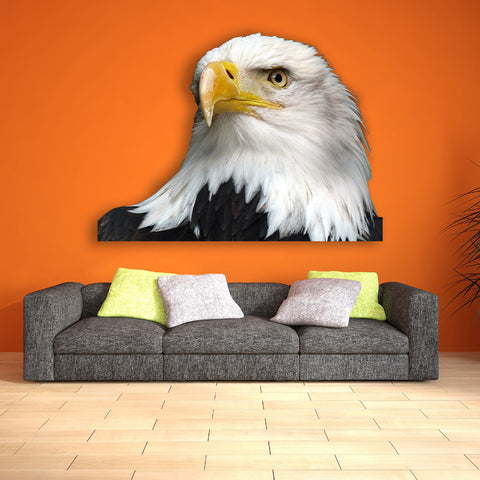 Image of Eagle Proud