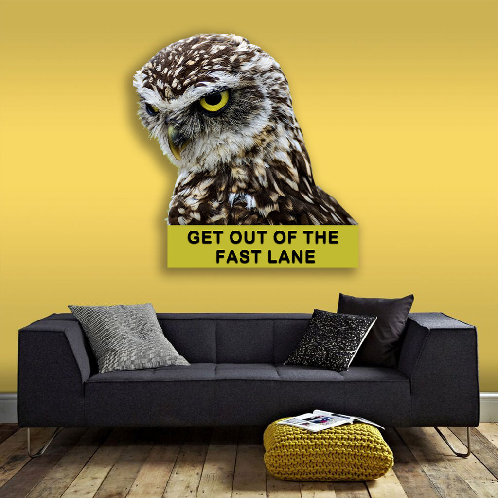 Owl "Stay out of the fast lane"