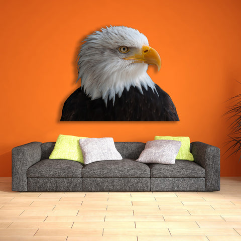 Image of Eagle