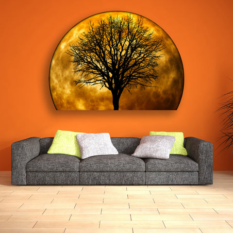 Image of Orange Moon Tree