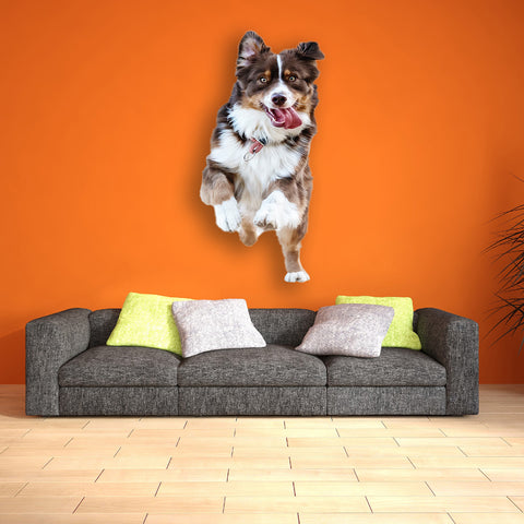 Image of Cute Dog