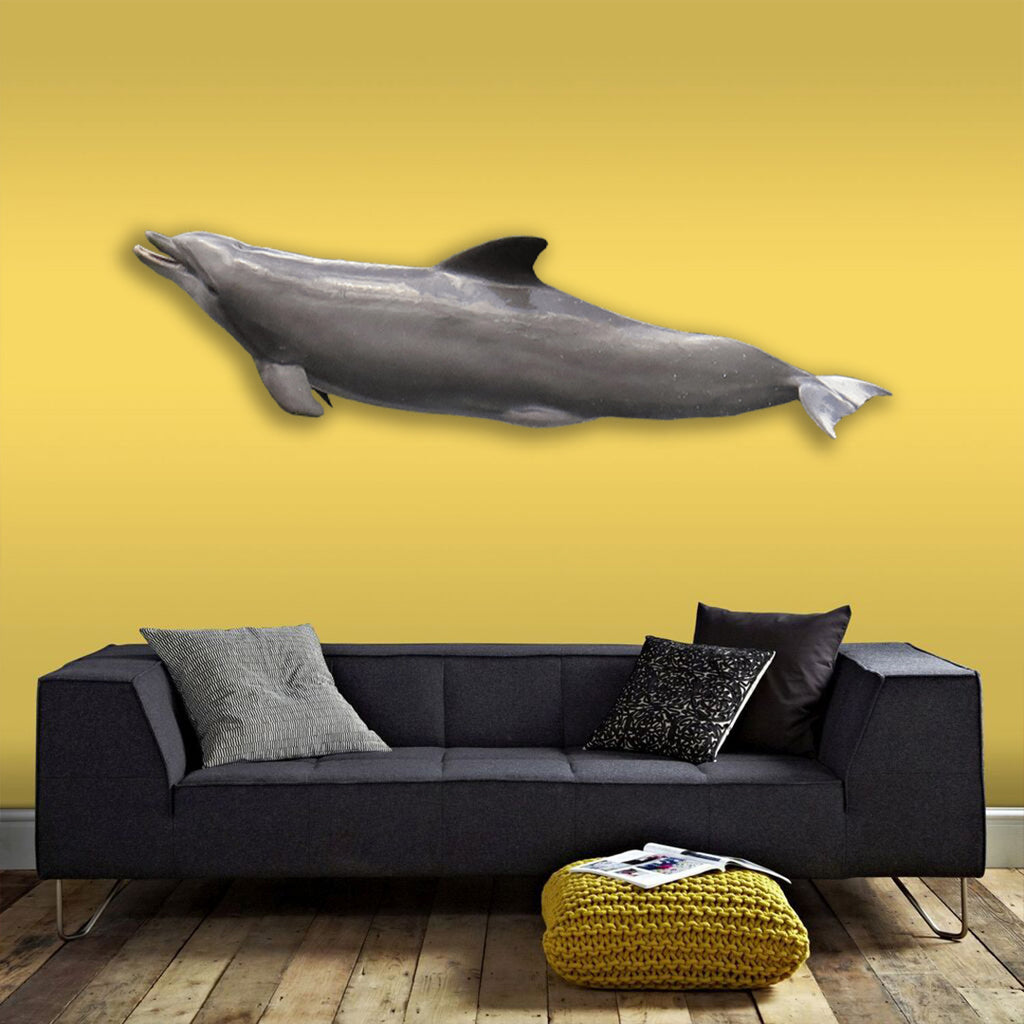 Porpoise Support