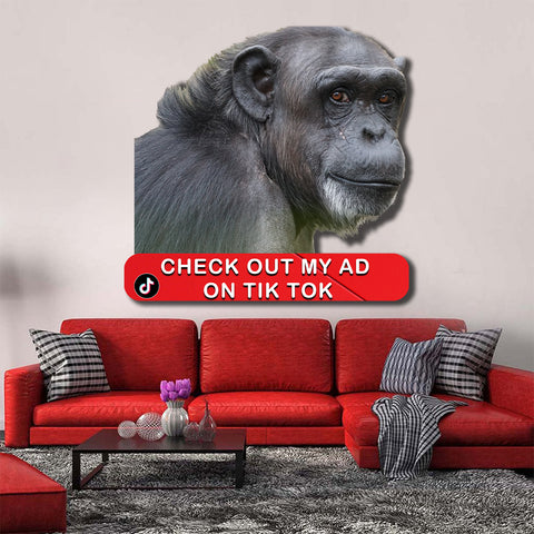Image of Check me out Ape