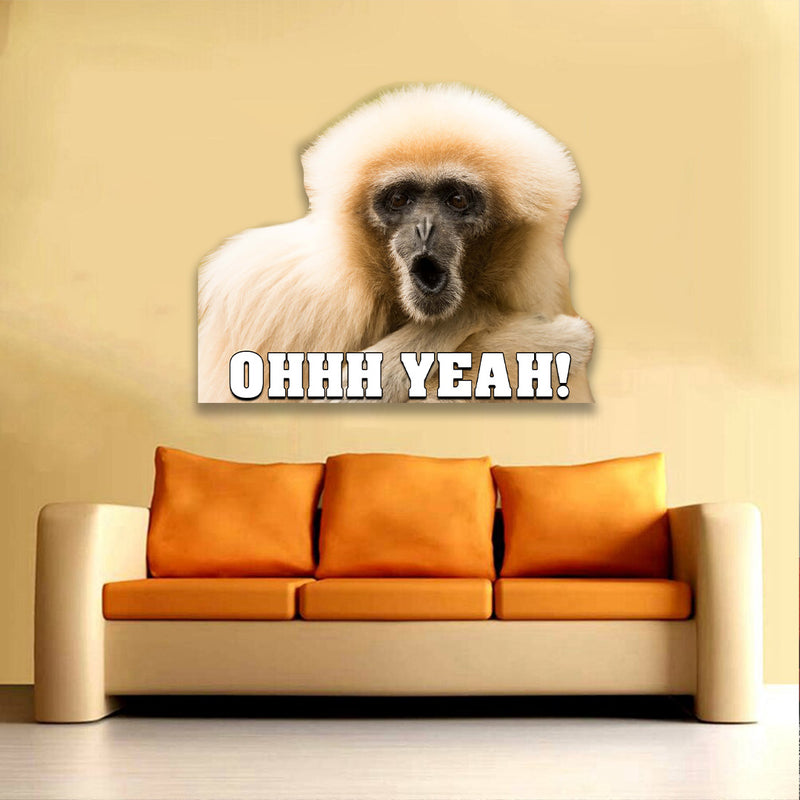 Monkey OHHH Yeah