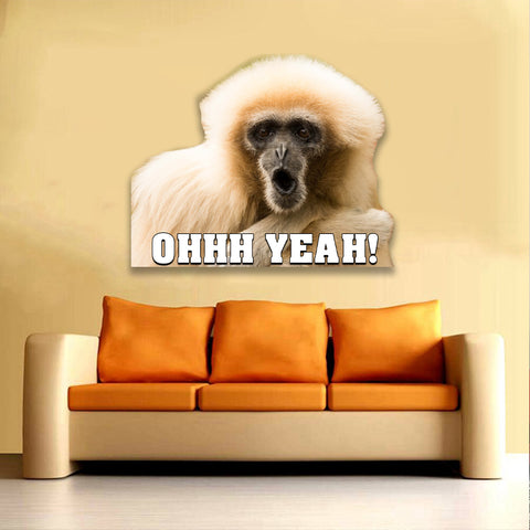 Image of Monkey OHHH Yeah