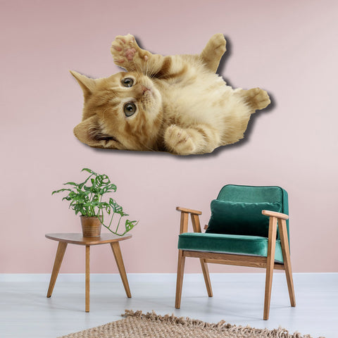 Image of Cute Cat #2